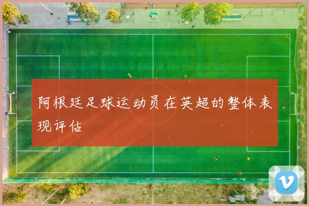 阿根廷足球运动员在英超的整体表现评估