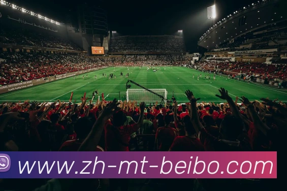 BB体育下载服务体系